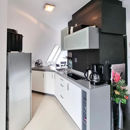 شقة Visit Baltic - Bursztyn سفينويتشي